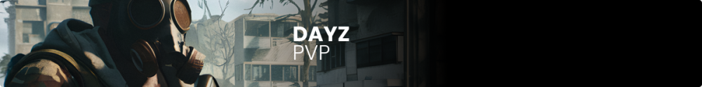 DayZ PVP