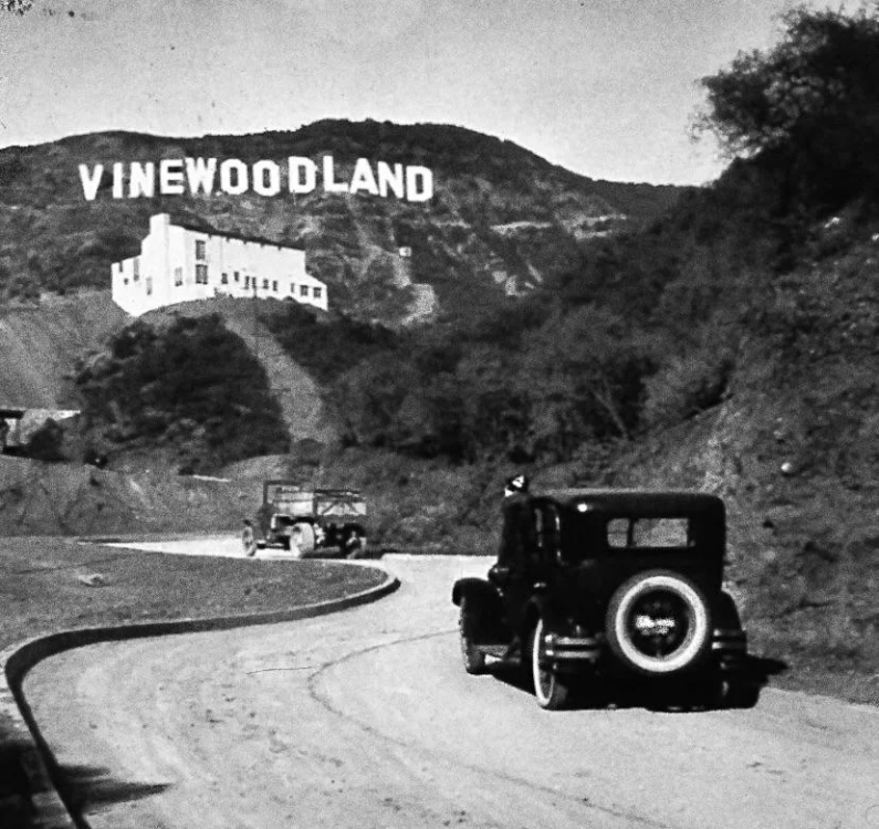 VinewoodjetjakoVinewoodland.thumb.png.fbf3bd9d685da60c8e91a46072c9324d.png