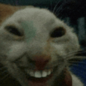 hejvicz2