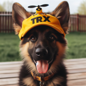 jsttrx